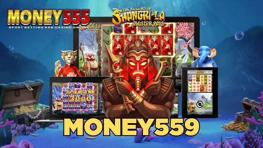 Money555